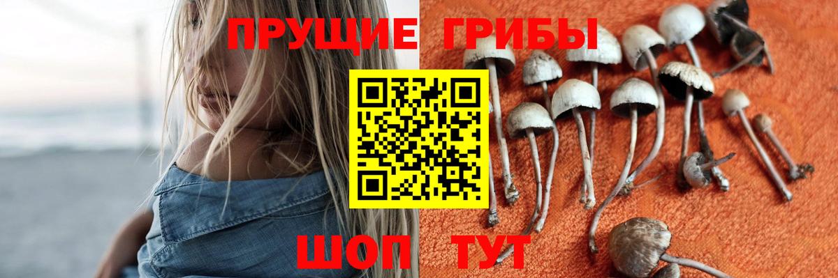 Ртищево  Псилоцибиновые грибы ЛСД  Вход с VPN  Галлюциногенные грибы мицелий 