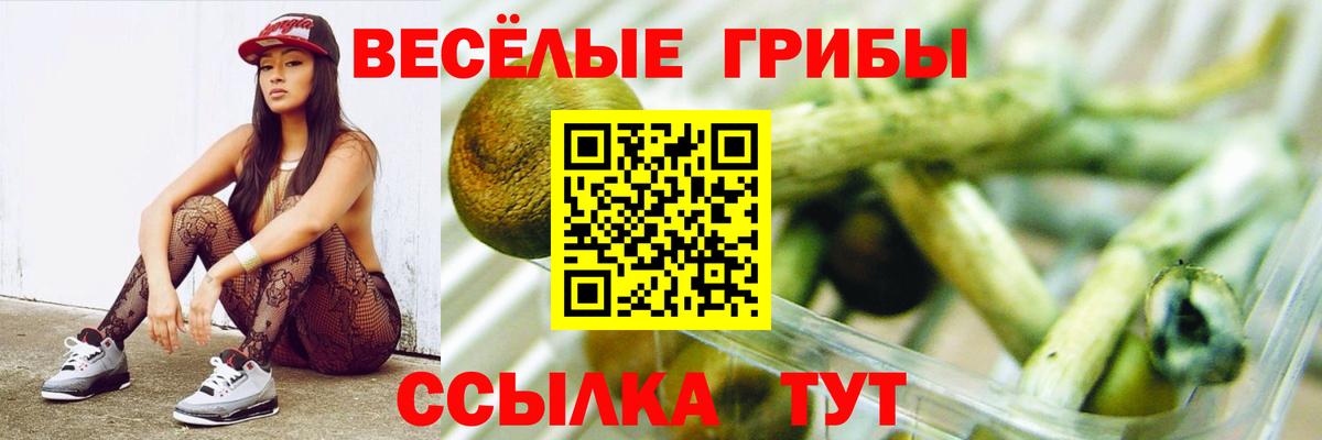 Псилоцибиновые грибы Magic Shrooms Ртищево